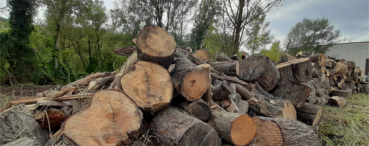 L’Ajuntament de Sant Joan de les Abadesses ofereix la fusta dels arbres retirats pel temporal Glòria