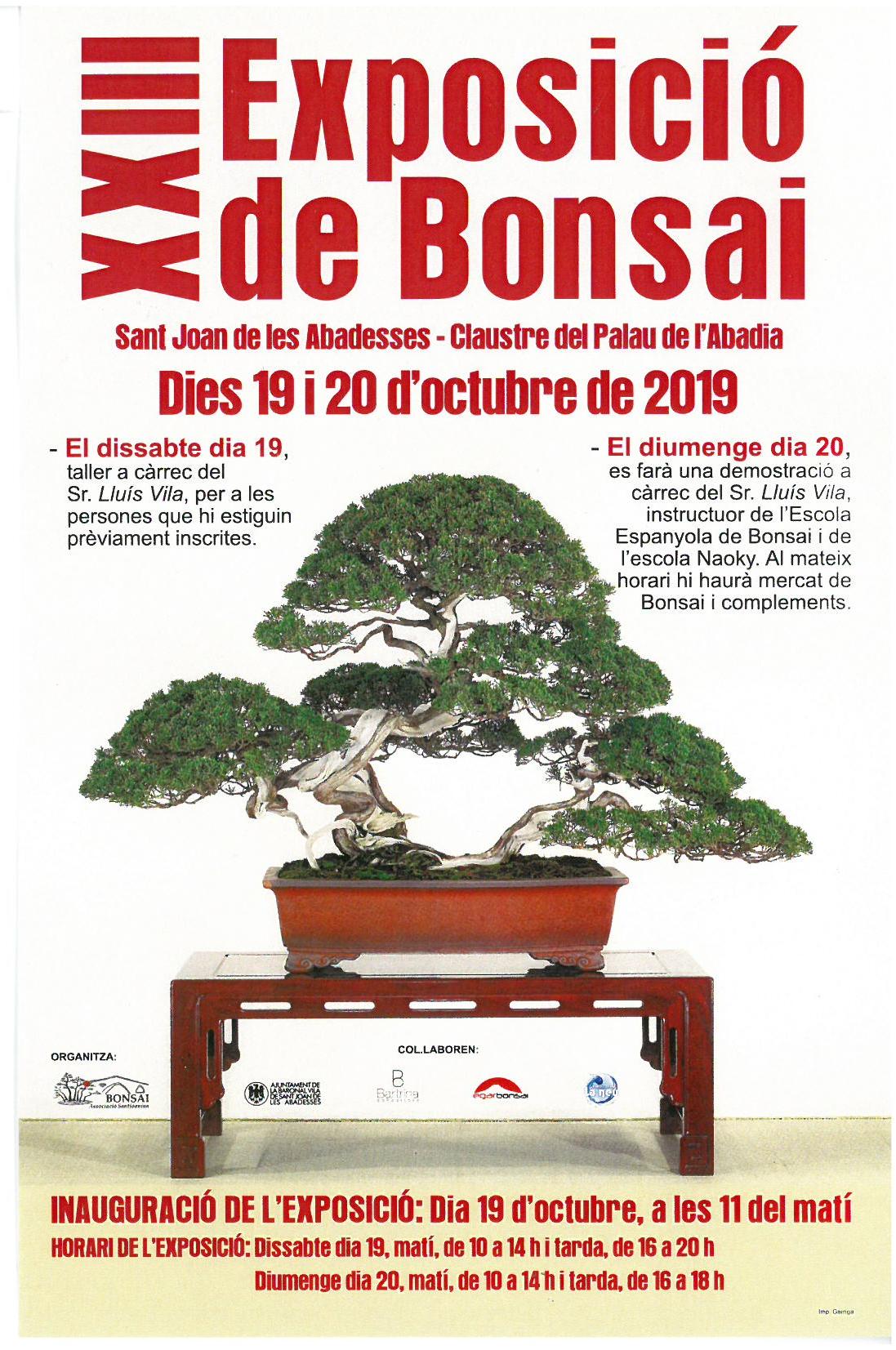 Cartell Bonsais Oct agenda