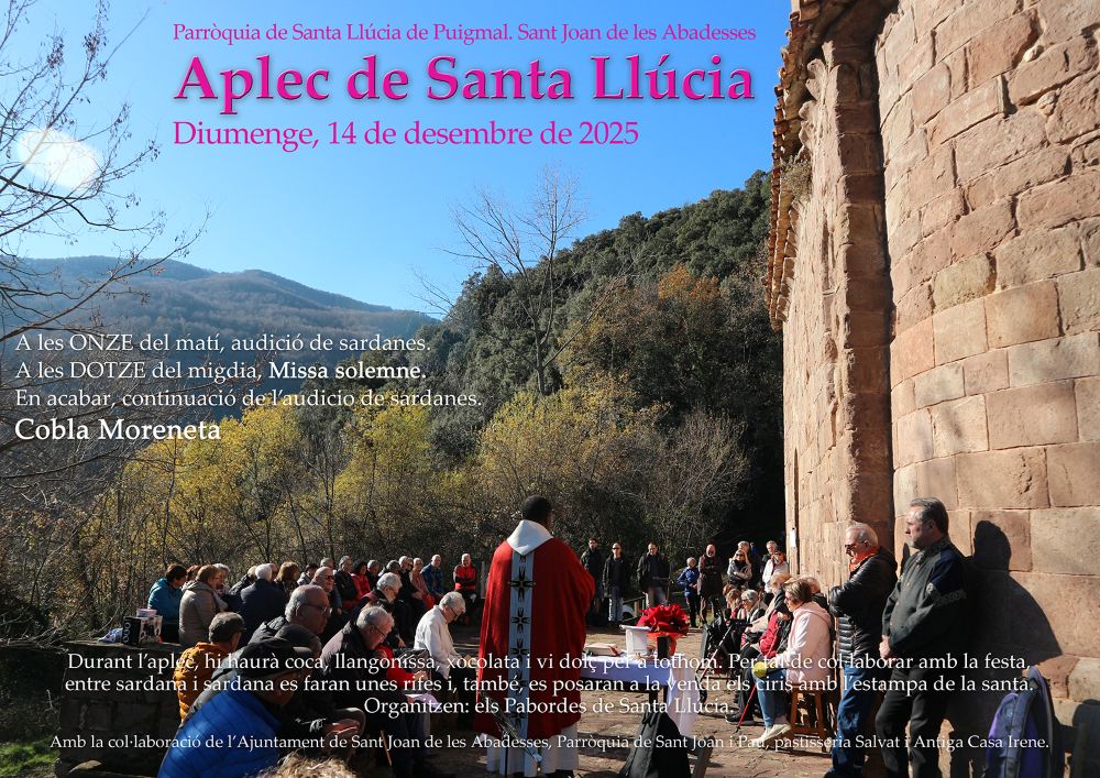 Cartell DINA3 2025 p