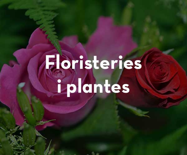 Floristeries i plantes