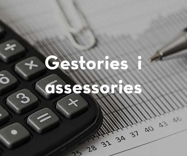 Gestories i assessories