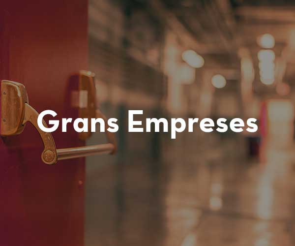 Grans empreses
