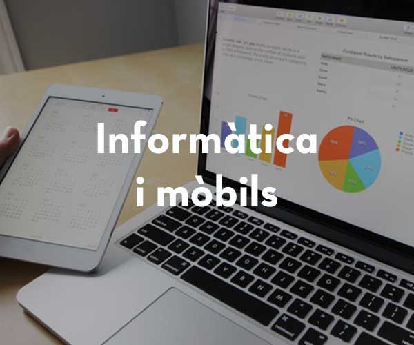 Informàtica i mòbils
