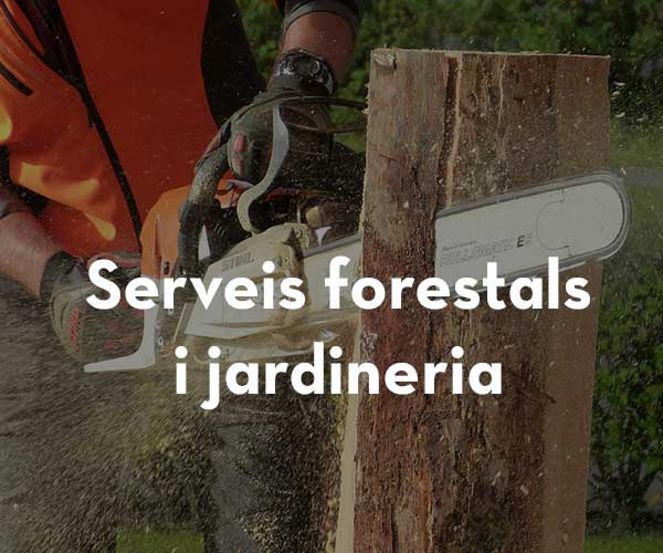 Serveis forestals