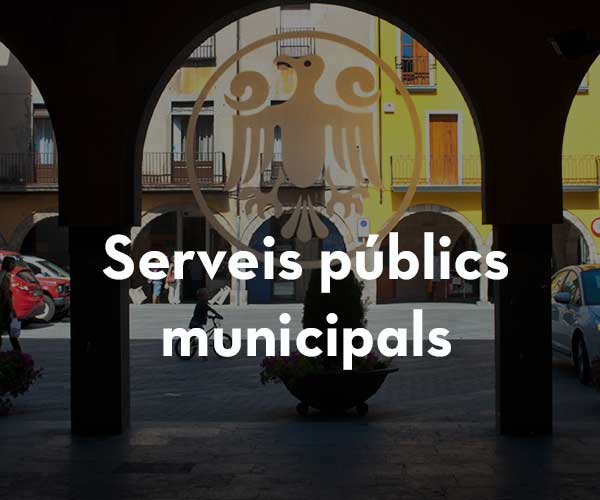 Serveis públics