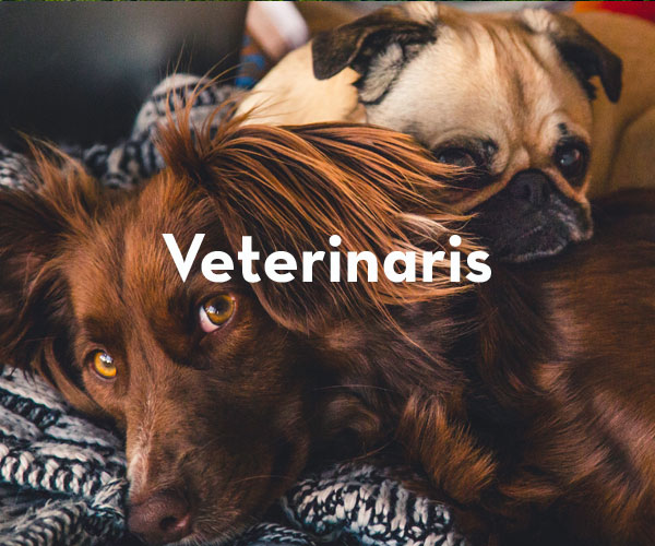 Veterinaris