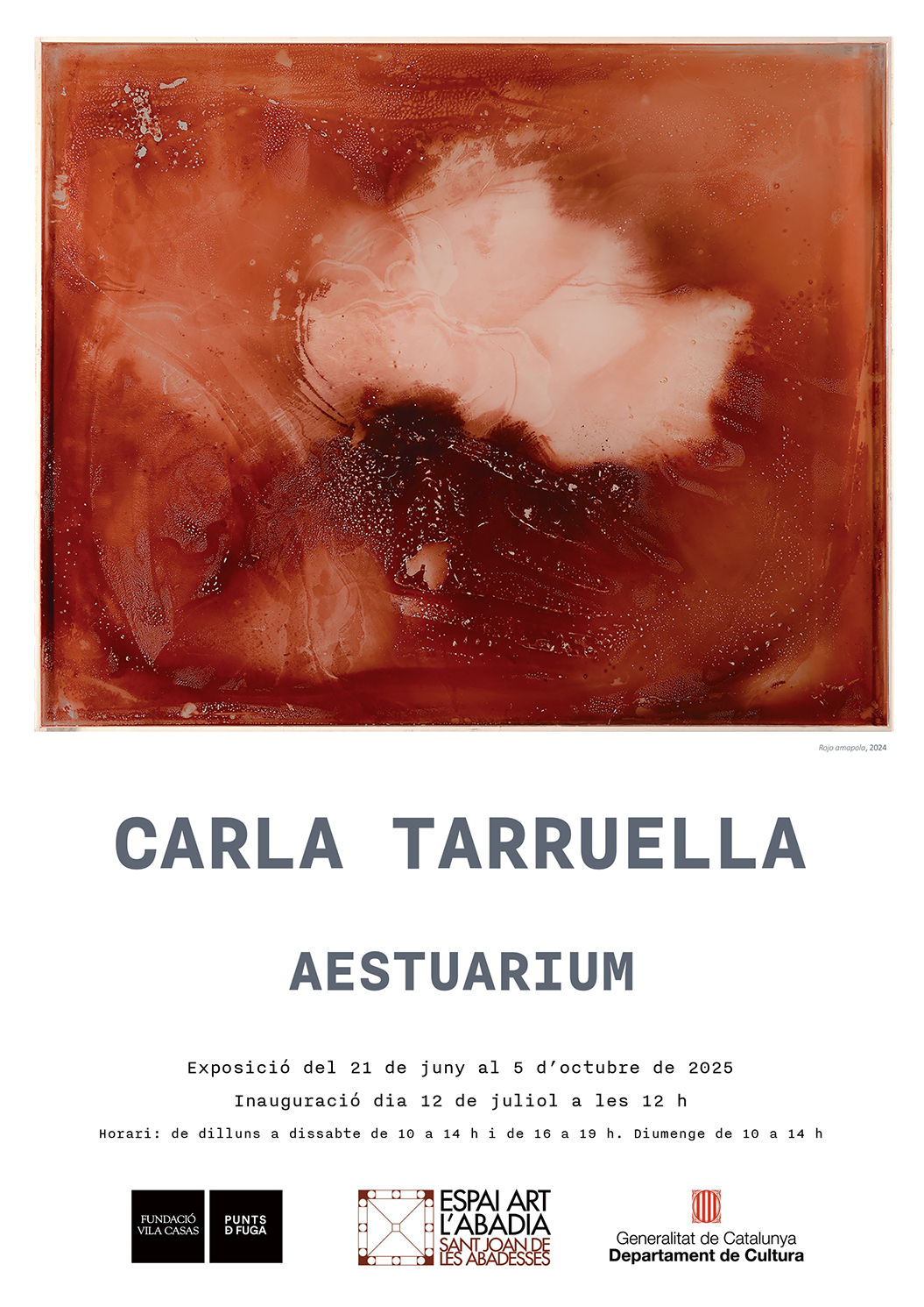 cartell CARLA TARRUELLA agendaok