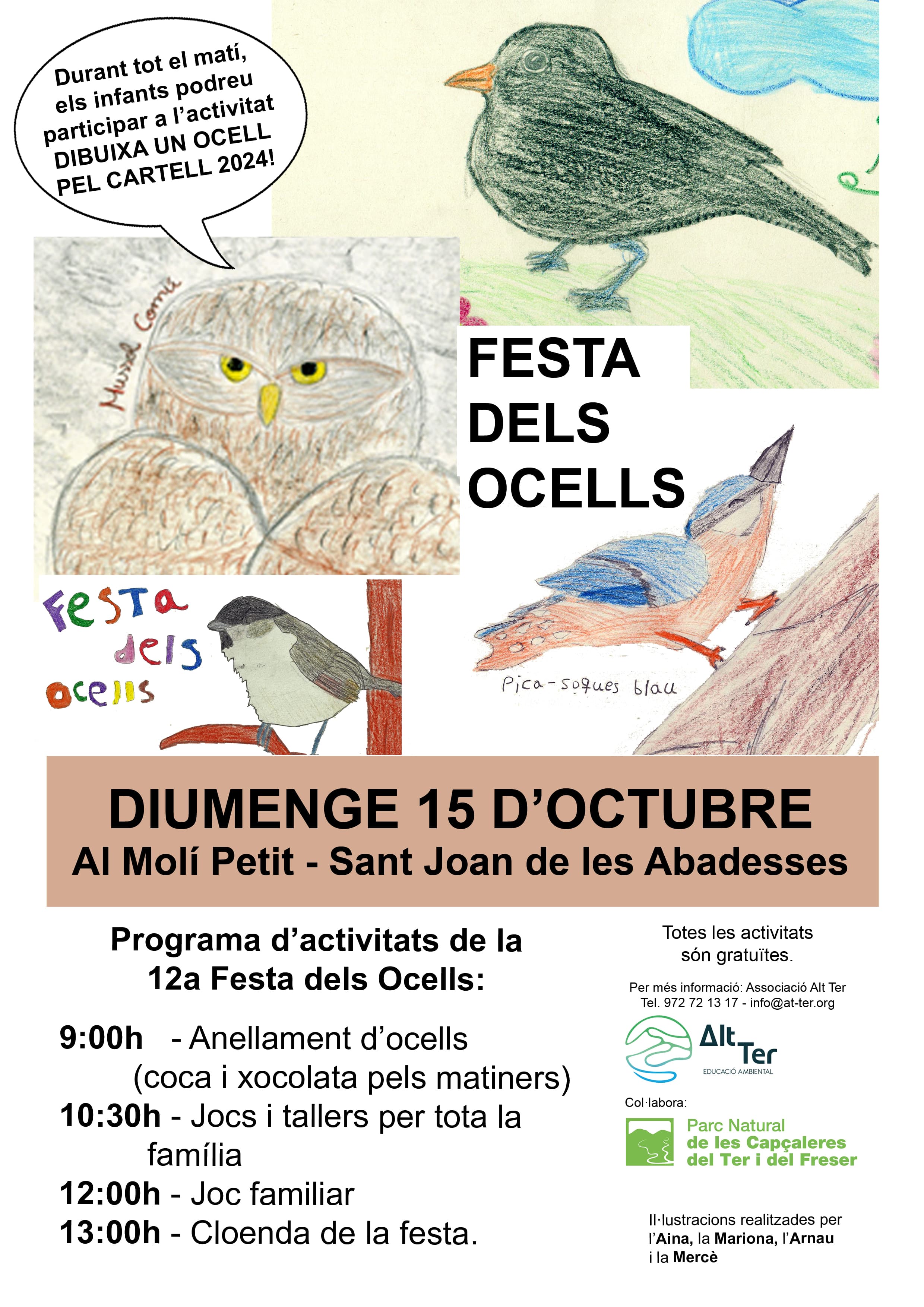 festa ocells min
