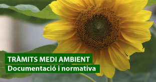 tramits-medi-ambient-contaminacio-acustica-baner-sant-joan-de-les-abadesses