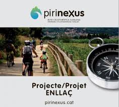 pirinexus