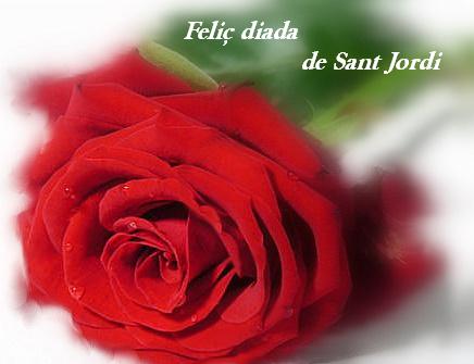 rosa_sant_jordi_1