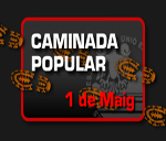 camiada1maigue-palmas-01