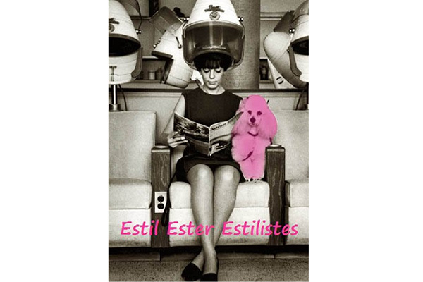 Perruqueria Estil Ester