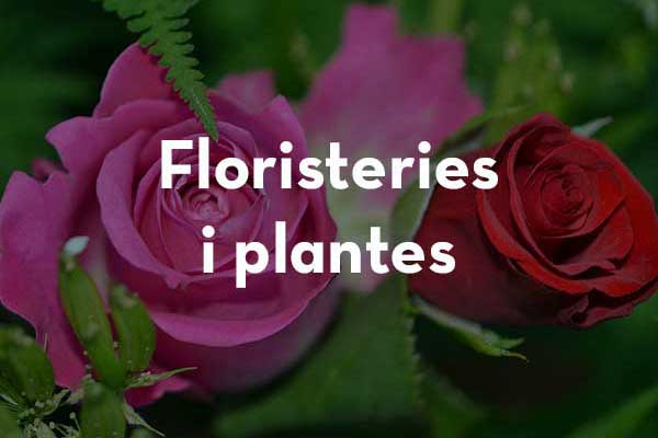 Flors l'Heura