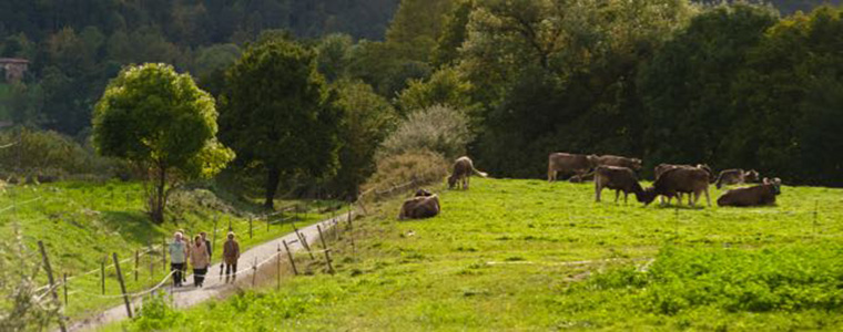 Camins i recorreguts de Sant Joan de les Abadesses