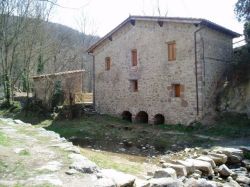 Moli_Petit_nou_web