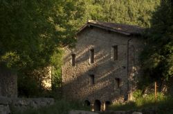 Moli_petit_nou_web2