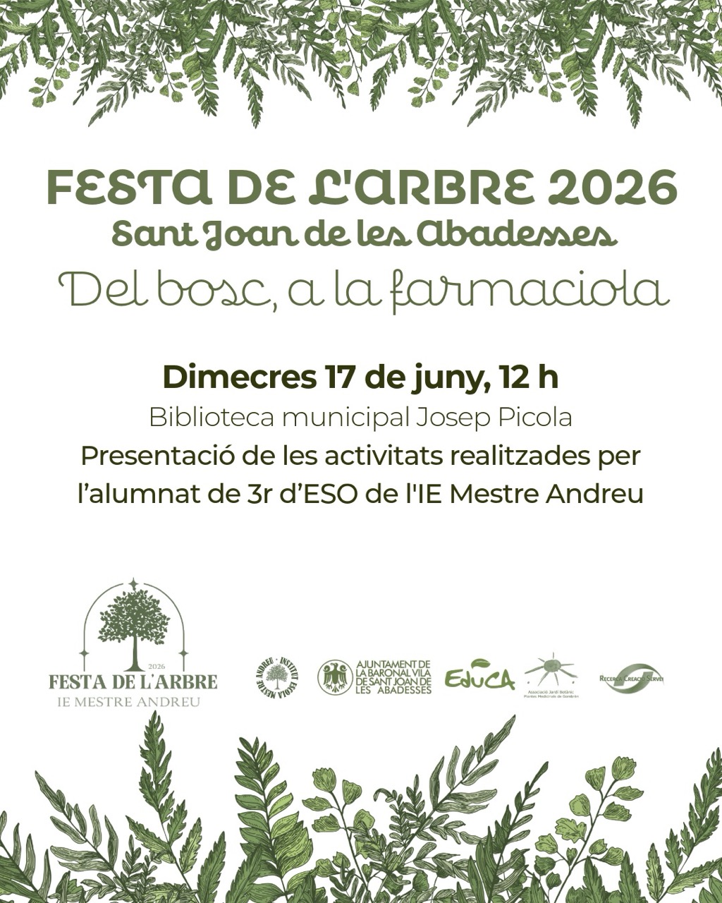202606 FESTA DE LARBRE a mida gran