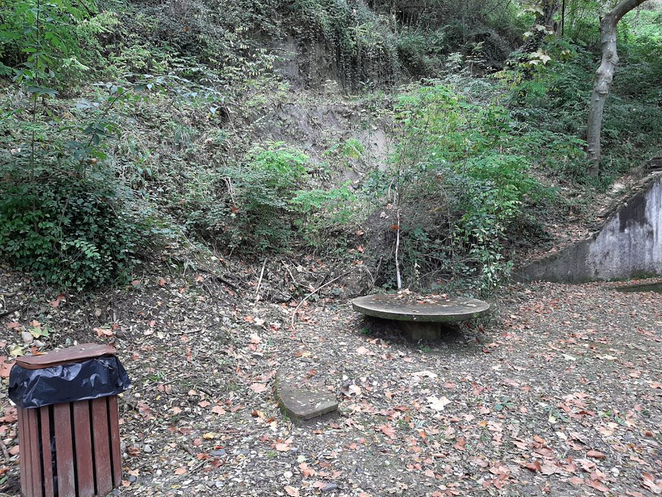FOTOS GLORIA1