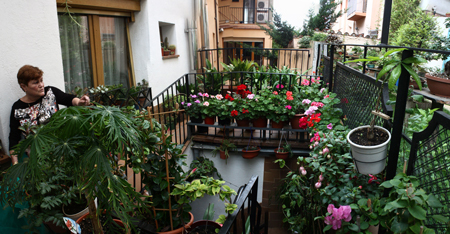LOTS JARDINERIA-PANO