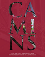 camins-web