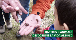 rastres-animals-visites-guiades-natura