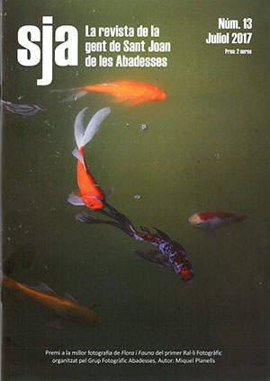 SJA número 13