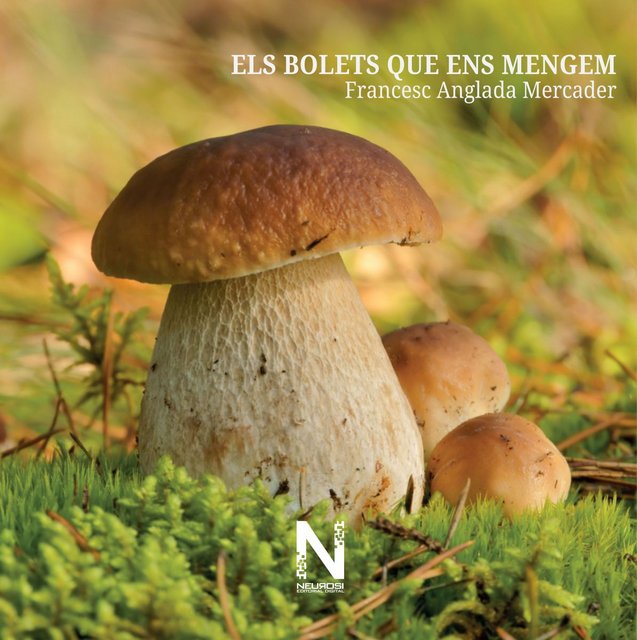 Els bolets que ens mengem